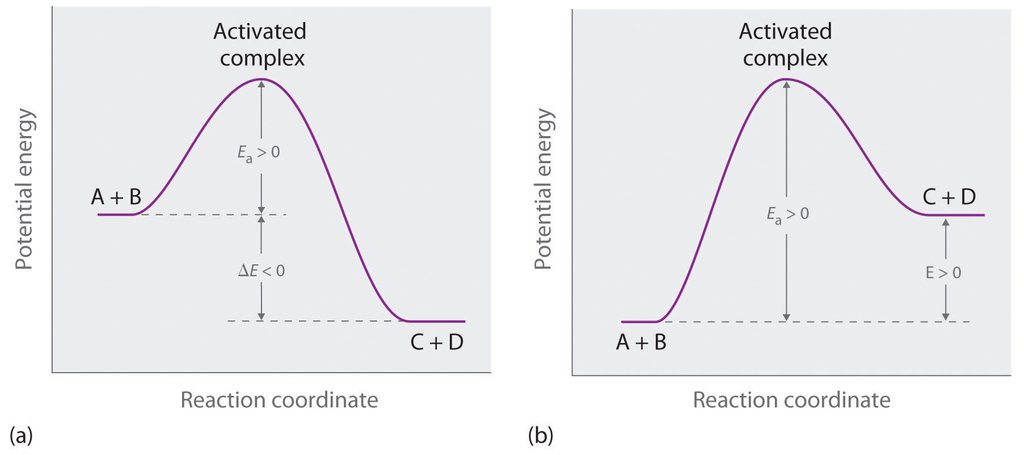 Effect Of Temperature On Rate Of Reactions Formula Definition Diagrams