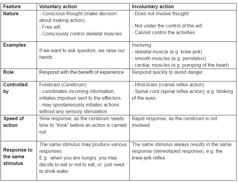 reflex-action-definition-process-and-examples