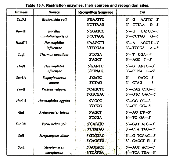 Restriction Endonucleases Definition Simple